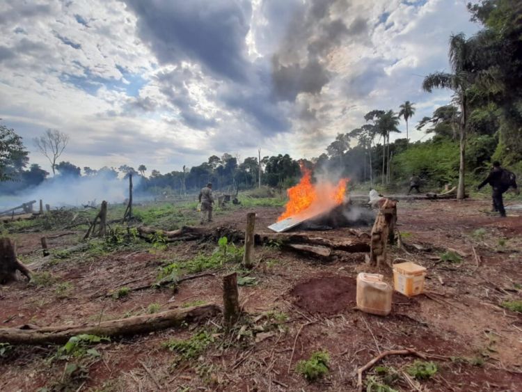 SENAD interviene base de acopio narco en Alto Paraná
