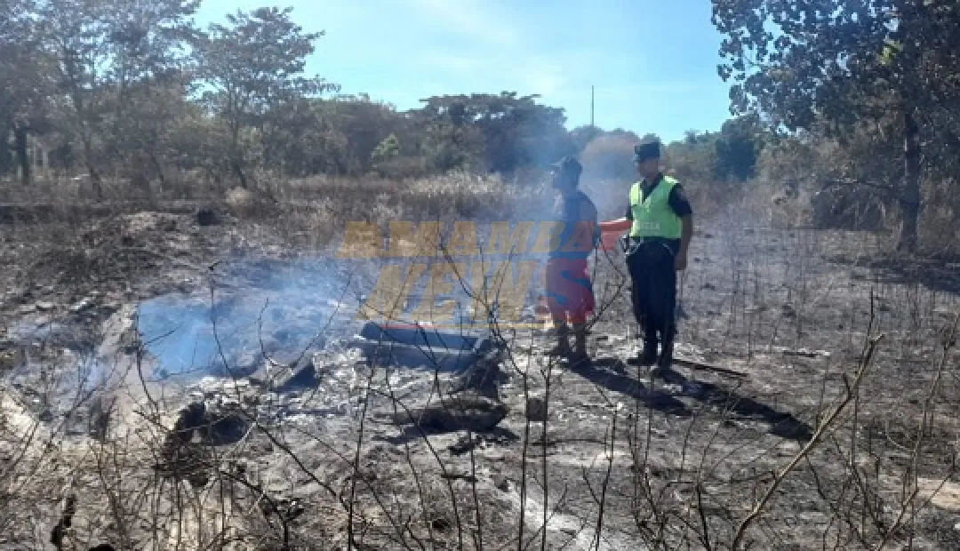 Detienen a sospechoso de incendio que arrasó 16 hectáreas en terreno de Copaco