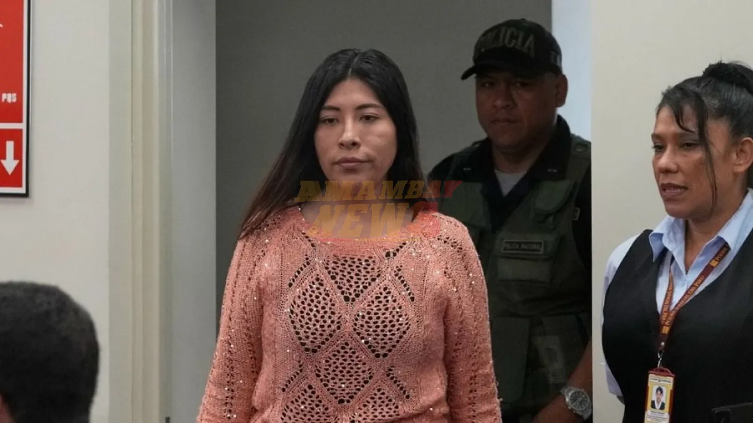 Perú pedirá este miércoles a la OEA cambiar criterios de asilo político para detener a Betssy Chávez