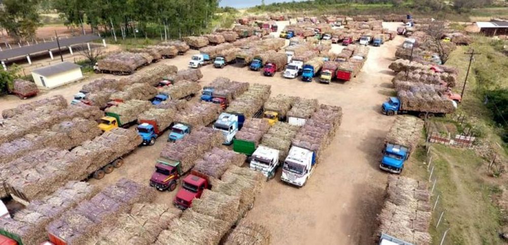 Petropar ni piensa en bajar el precio del combustible
