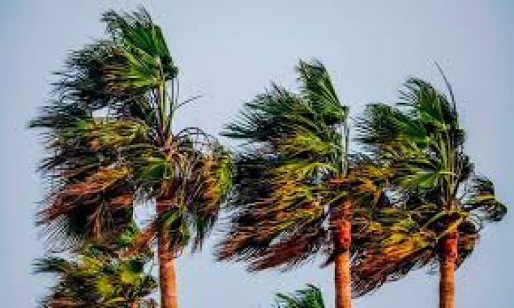 Meteorología anuncia tormentas de hasta 120 km/h para este miércoles