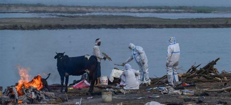 Cadáveres de posibles víctimas de covid-19 aparecen a orillas del río Ganges en India