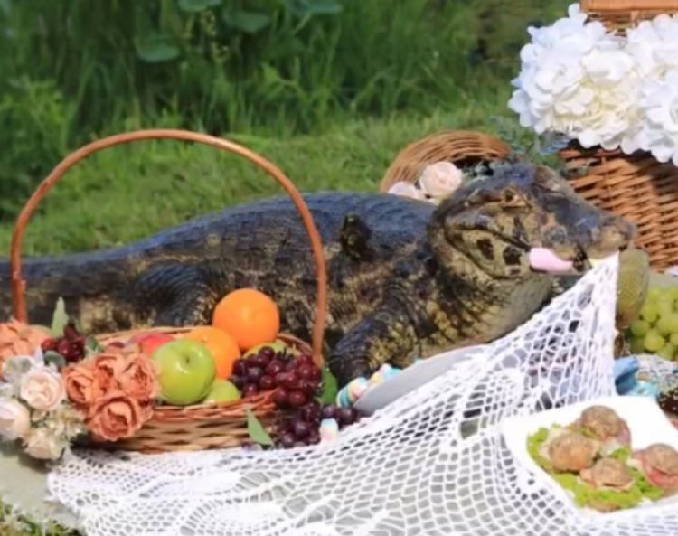 Yacaré se une a sesión de fotos de quinceañera en el Botánico