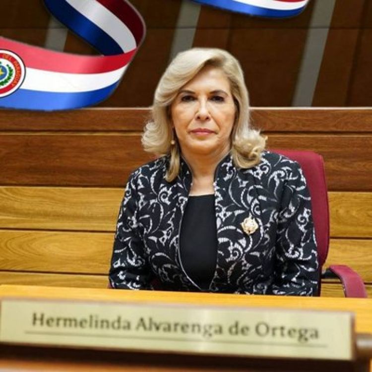 Líder del llanismo en el Senado ve proyección tras anuncio de unión de bloque opositor