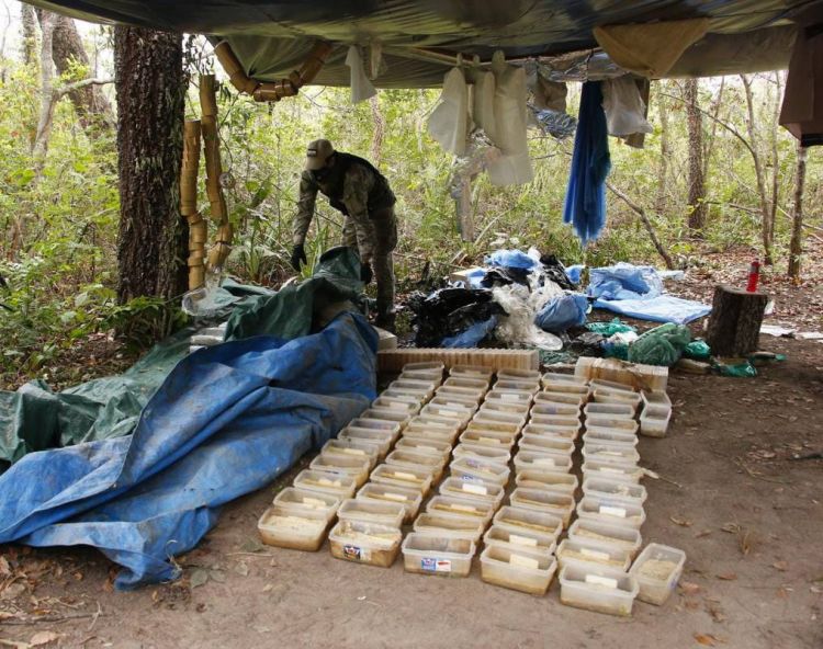 Detectan pistas clandestinas y laboratorio de cocaína en el parque nacional Paso Bravo