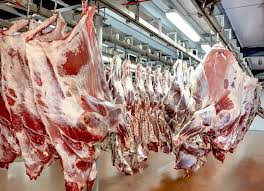 Aumentarían pedidos de carne paraguaya y productos lácteos por parte de Egipto