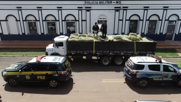 PRF y PMMS incautan 7 toneladas de marihuana