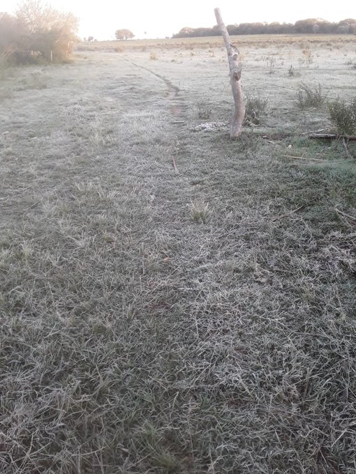 Miércoles frío a fresco, con probabilidades de lluvias y escarchas