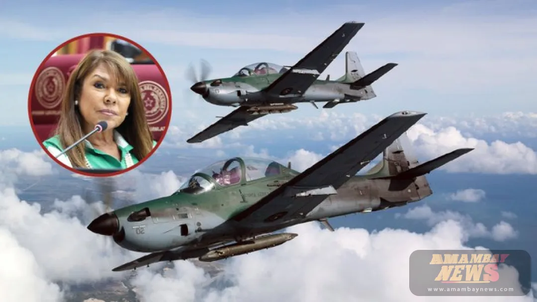 Celeste Amarilla cuestiona contradicción de ANR en la ley de derribo de aviones
