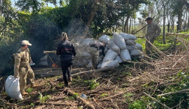 Detectan más de 5 toneladas de marihuana en la Colonia Santa Clara