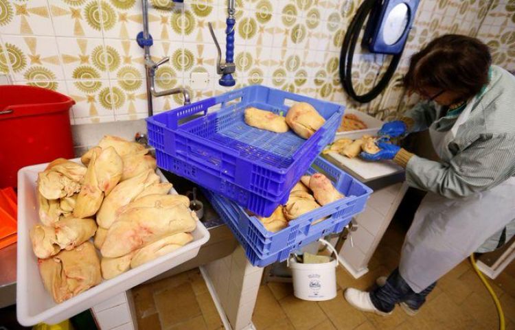 Francia confirma un grave brote de gripe aviar en una granja de patos