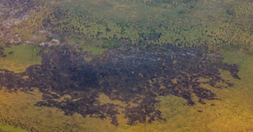 Pantanal paraguayo: Senado aprueba declaración de emergencia