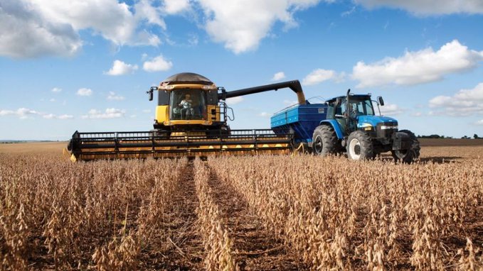 Paraguay baja en el ranking mundial de productores y exportadores de soja