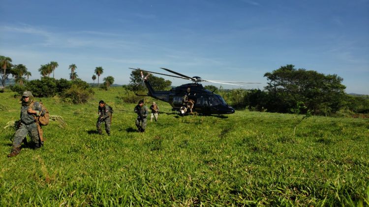 Operación internacional: desmantelan campamentos narcos y anulan 483 toneladas de marihuana