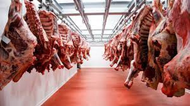 Anuncian nueva visita técnica para avanzar en la apertura del mercado estadounidense a la carne paraguaya