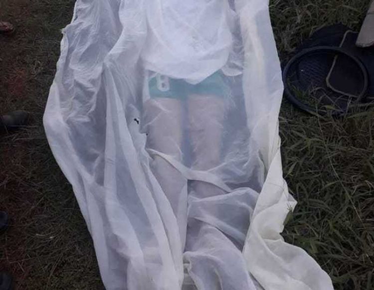 Hombre fallece al impactar su vehículo contra un árbol en O""leary