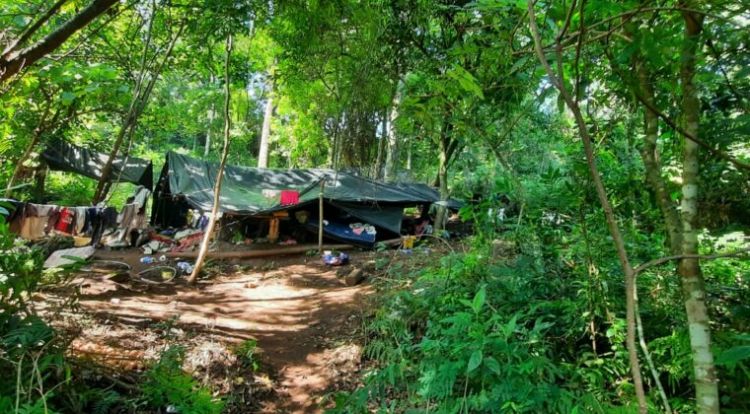 Hallan campamentos narcos con más de 30 toneladas de marihuana en el distrito de Cerro Corá