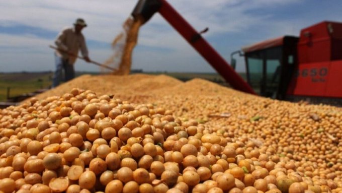 Capeco: Paraguay no puede vender soja en forma directa a la China