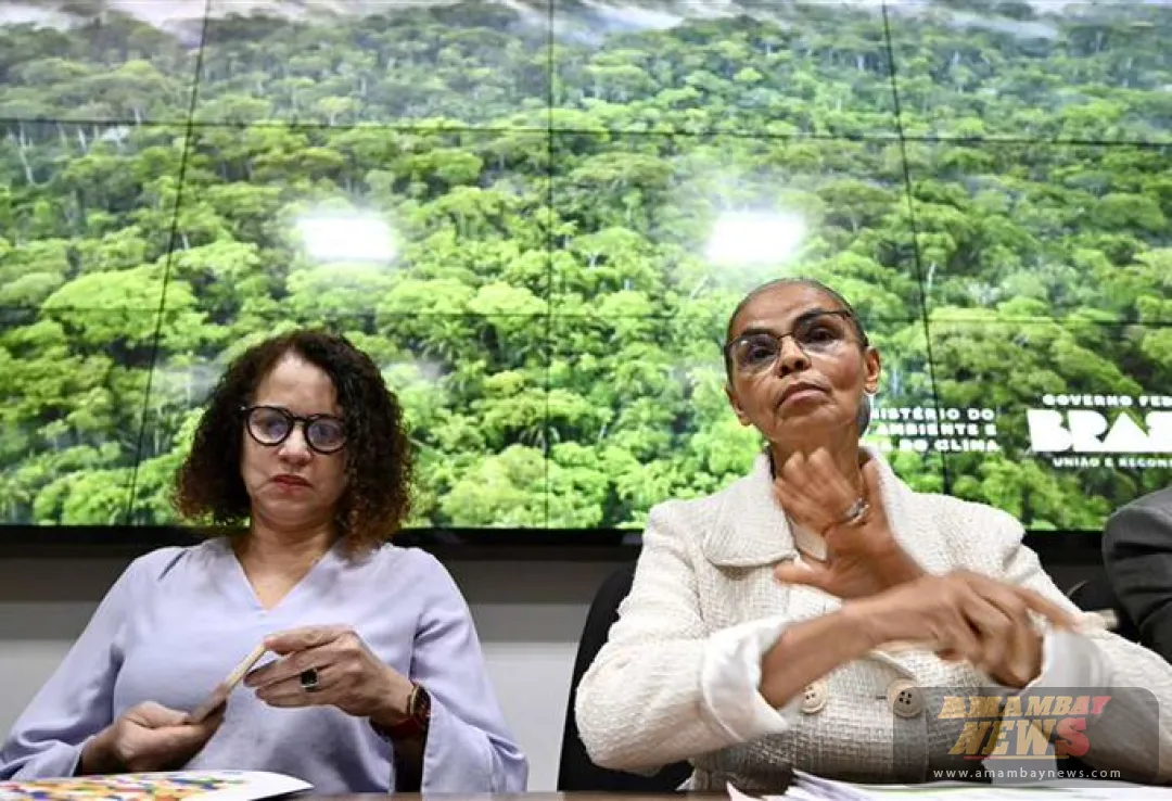 Deforestación de la Amazonía brasileña registra primer aumento en 15 meses