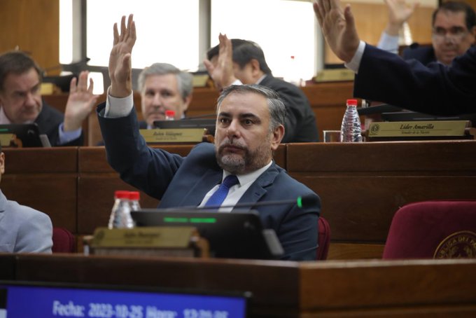 Senadores libero-cartistas podrían salvarse de la expulsión si Kattya recupera su banca