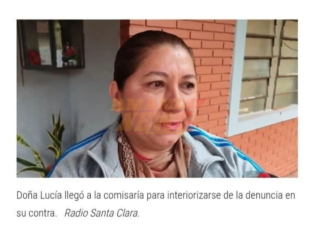 Cintareó a un “chespi” que le robó sus sillones y fue denunciada por la mamá