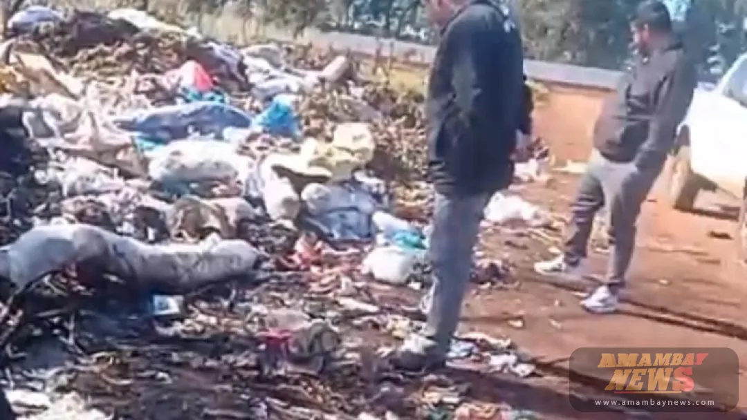 Dos fetos en frascos son encontrados entre basura en Hernandarias