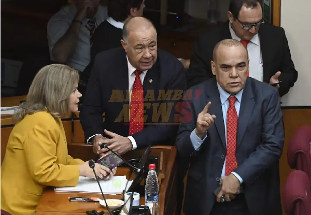 Crisis interna complica liderazgo de Bachi Núñez en Senado