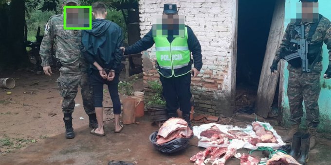 Con las manos en la vaca: abigeo detenido con 120 kilos de carne