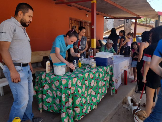 Recomiendan limpiar sitios donde duermen mascotas para evitar parásitos esta temporada