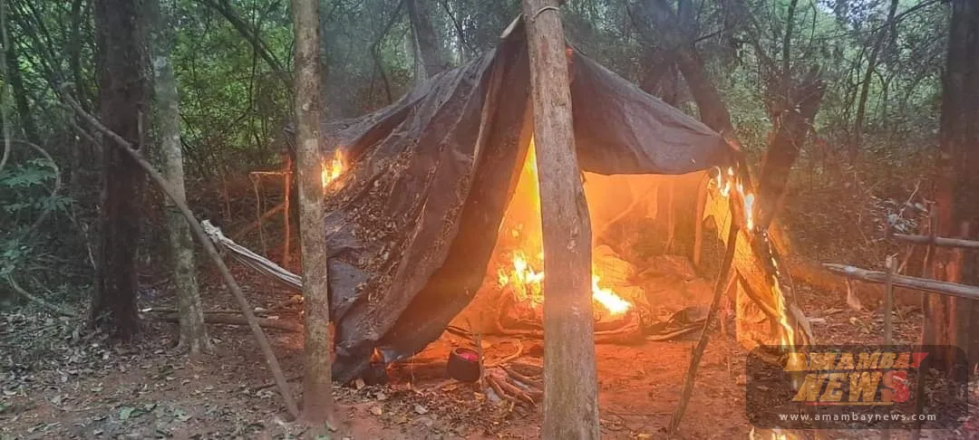 Fiscalía Especializada Busca identificar a Cultivadores de Marihuana