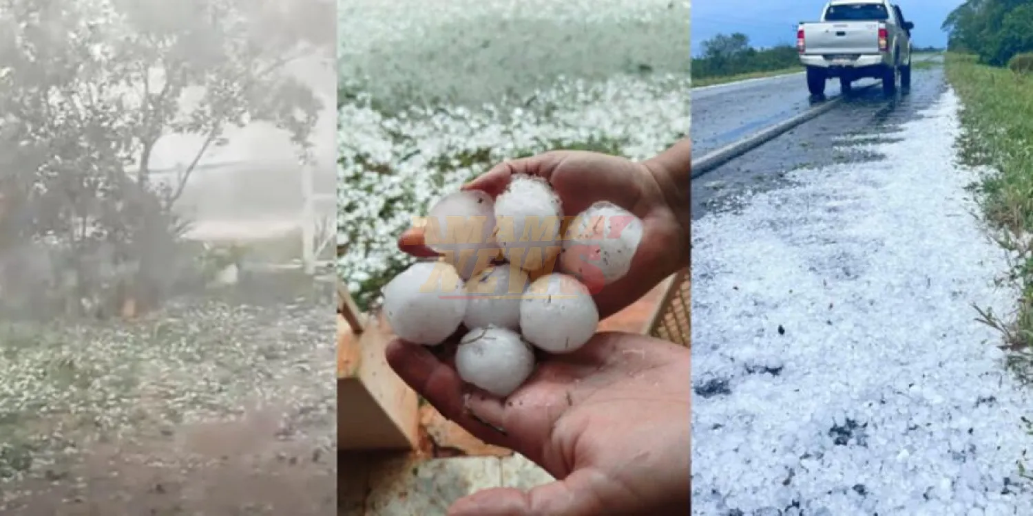 Cultivos perdidos, animales muertos y destrozos: fuerte granizada en San Pedro