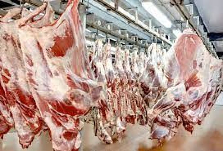 Se exportó menor cantidad de carne, pero ingresaron más divisas, según SENACSA