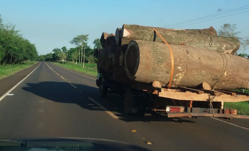 Denuncian tráfico de rollo en San Pedro