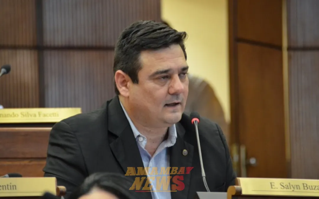 Salyn Buzarquis: “Estamos yendo peligrosamente hacia un narcoestado”