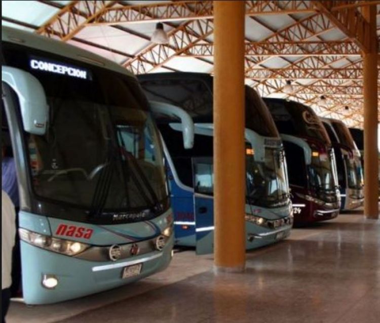 ¿Sin buses en Semana Santa? Dinatran adelanta las primeras medidas