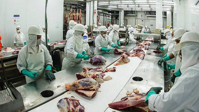 La actividad económica registró un crecimiento de 1,6% al cierre de noviembre, refiere el BCP