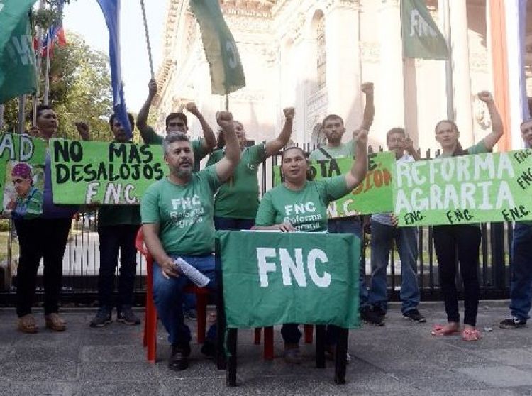 Organizaciones campesinas cuestionan que reactivación no incluya un plan para el sector