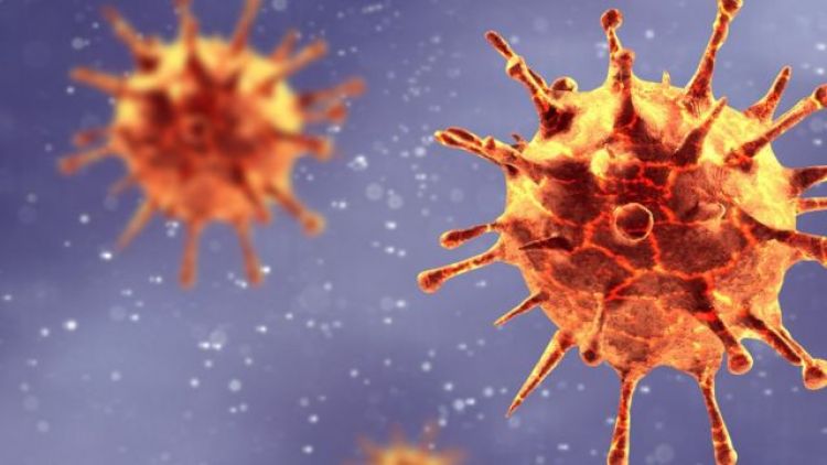 Descubrieron el "taln de Aquiles" del coronavirus para evitar que se multiplique en el cuerpo