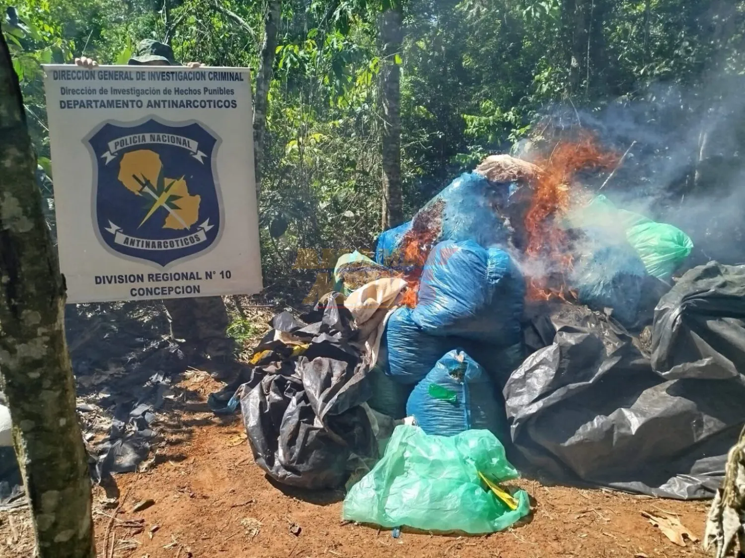 Allanamiento en Sargento José Félix López: destruyen e incineran más de 1.000 kg de marihuana picada