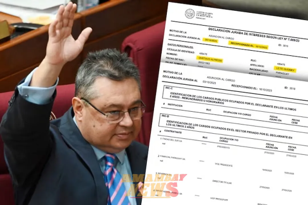 Senador Leite no declaró vínculo con ONG ante la Contraloría