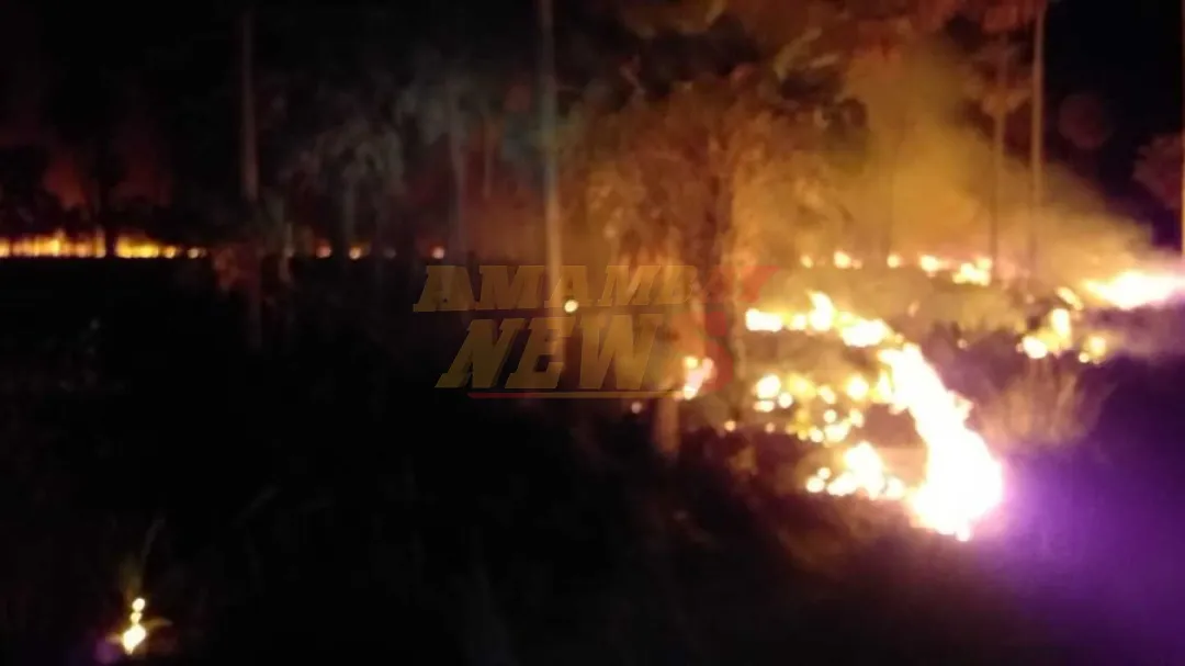 Bomberos trabajan para controlar incendio forestal en Presidente Hayes