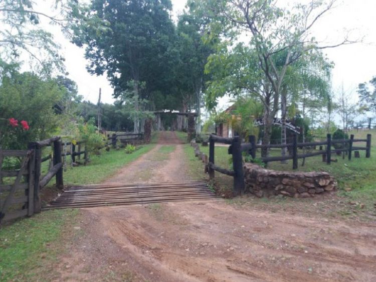 Delincuentes se alzan con unos G. 18 millones en violento asalto en General Artigas