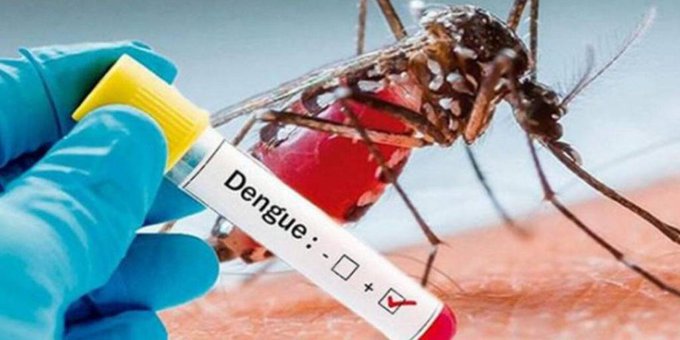 Casos de dengue se disparan: hay más de 3.400 infectados