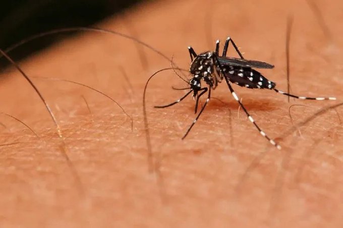 Reforzarán consultorios nocturnos ante posible nueva epidemia de dengue
