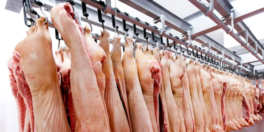 El sector porcino en Paraguay está en su mejor momento, resaltan productores