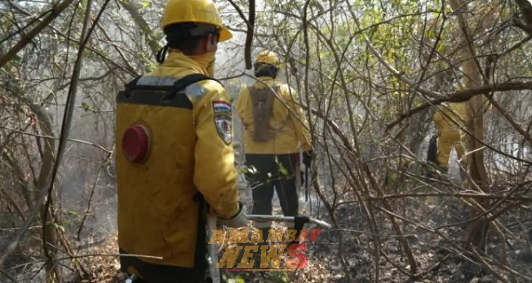 VIDEO: Incendio en cerro Chovoreca afecta 70.000 hectáreas en el Chaco