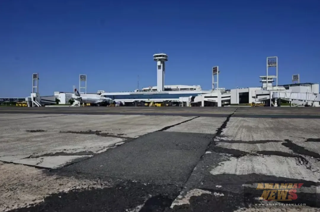 Aves impactan vuelo y exponen fallas en Aeropuerto Silvio Pettirossi