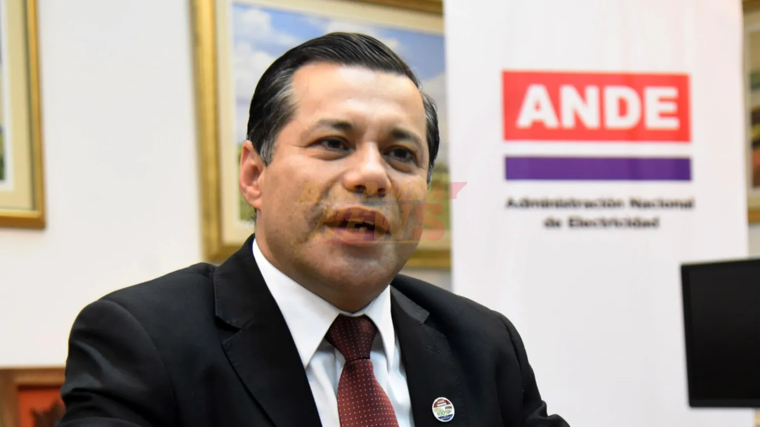 ANDE descarta desabastecimiento eléctrico ante debate por tarifas preferenciales