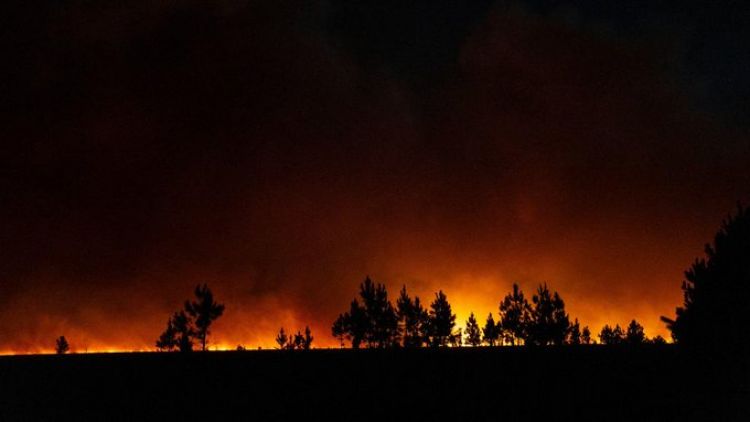 Argentina | Un incendio forestal devasta 800.000 hectáreas en la provincia de Corrientes