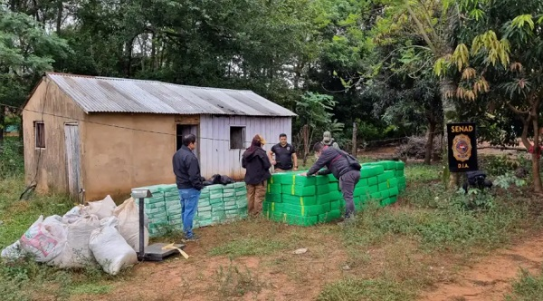 Senad asesta duro golpe al narcotráfico: incauta 4 toneladas de marihuana